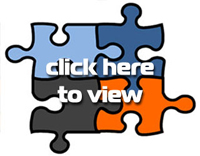 Risk Assessment Business Overview